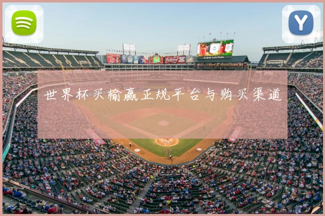 世界杯买输赢正规平台与购买渠道