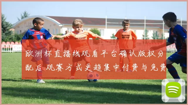 欧洲杯直播线观看平台确认版权分配后 观赛方式更趋集中付费与免费并存