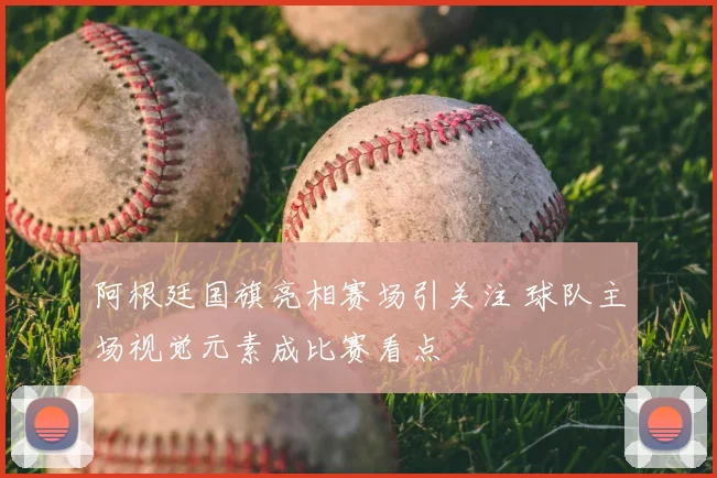 阿根廷国旗亮相赛场引关注 球队主场视觉元素成比赛看点
