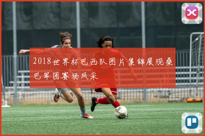 2018世界杯巴西队图片集锦展现桑巴军团赛场风采